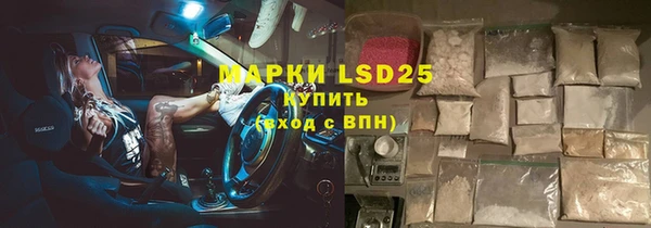 индика Козельск