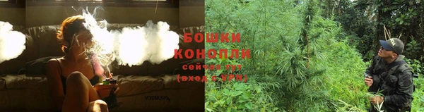 стафф Козловка