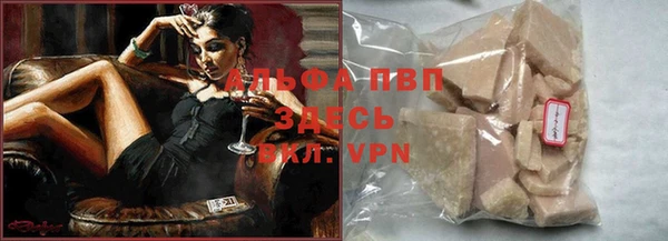 индика Козельск