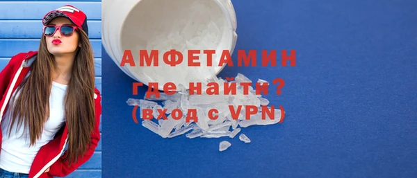 индика Козельск