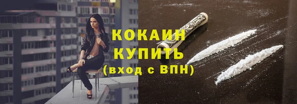 стафф Козловка