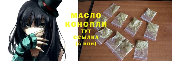 индика Козельск