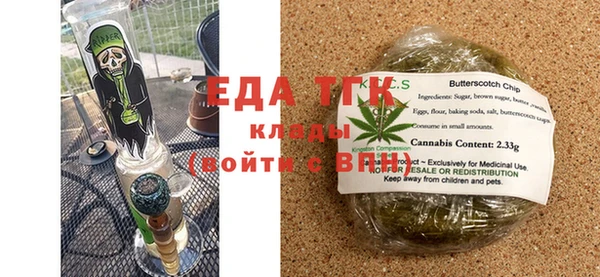 индика Козельск