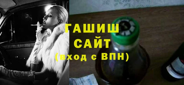 индика Козельск