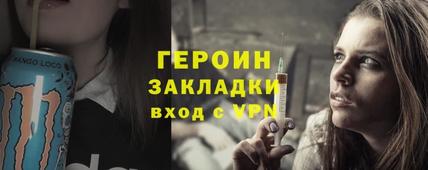 индика Козельск