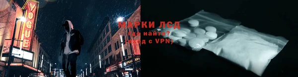 индика Козельск