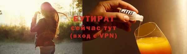индика Козельск