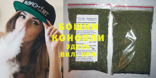 индика Козельск