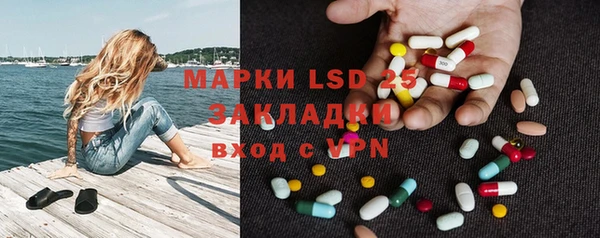 стафф Козловка