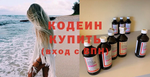 индика Козельск