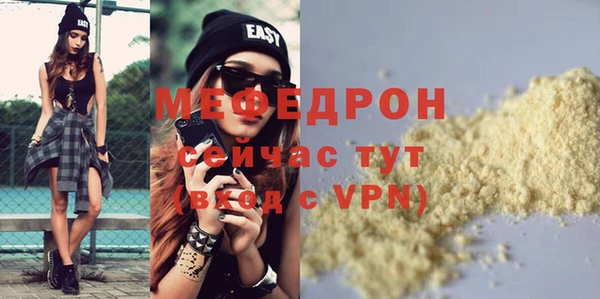 индика Козельск