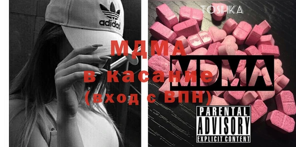 индика Козельск