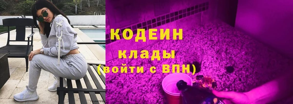 индика Козельск