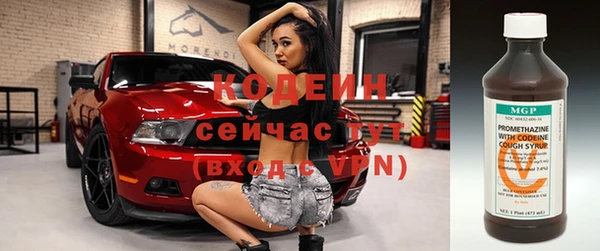 индика Козельск