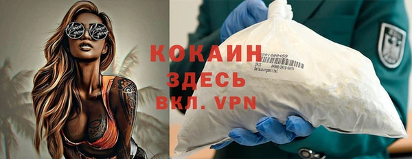 индика Козельск