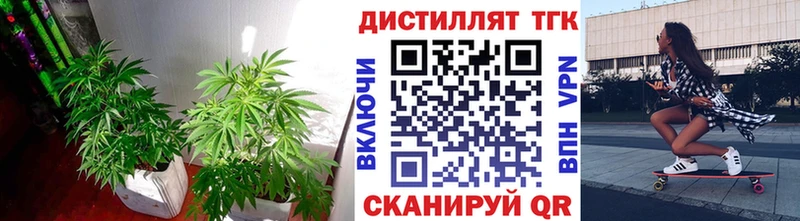 ТГК гашишное масло  mega вход  Щёкино 