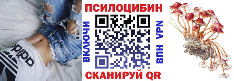 как найти закладки  Щёкино  Псилоцибиновые грибы мухоморы 